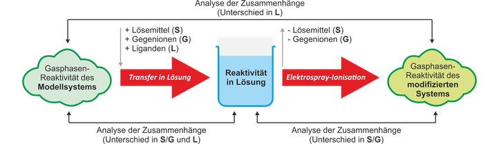 Zusammenfassende Abbildung der Forschung im AK Butschke