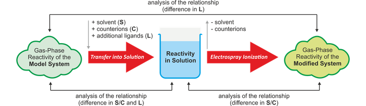 Figure summarizing the Research in the Butschke Group